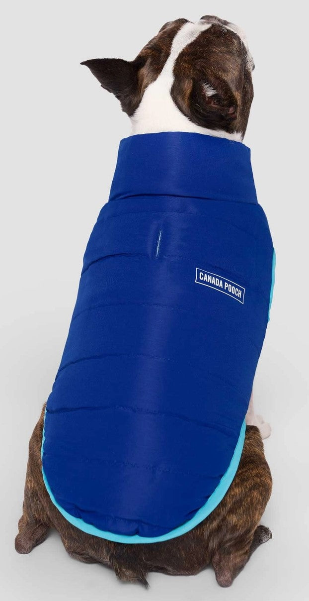 Canada Pooch Reversible Puffer Blue/Teal