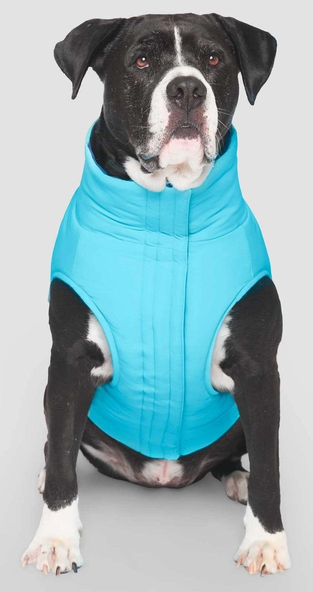 Canada Pooch Reversible Puffer Blue/Teal