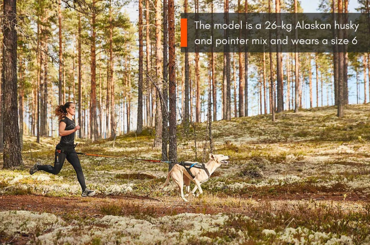 Non-Stop Dog Wear Freemotion Harness Black