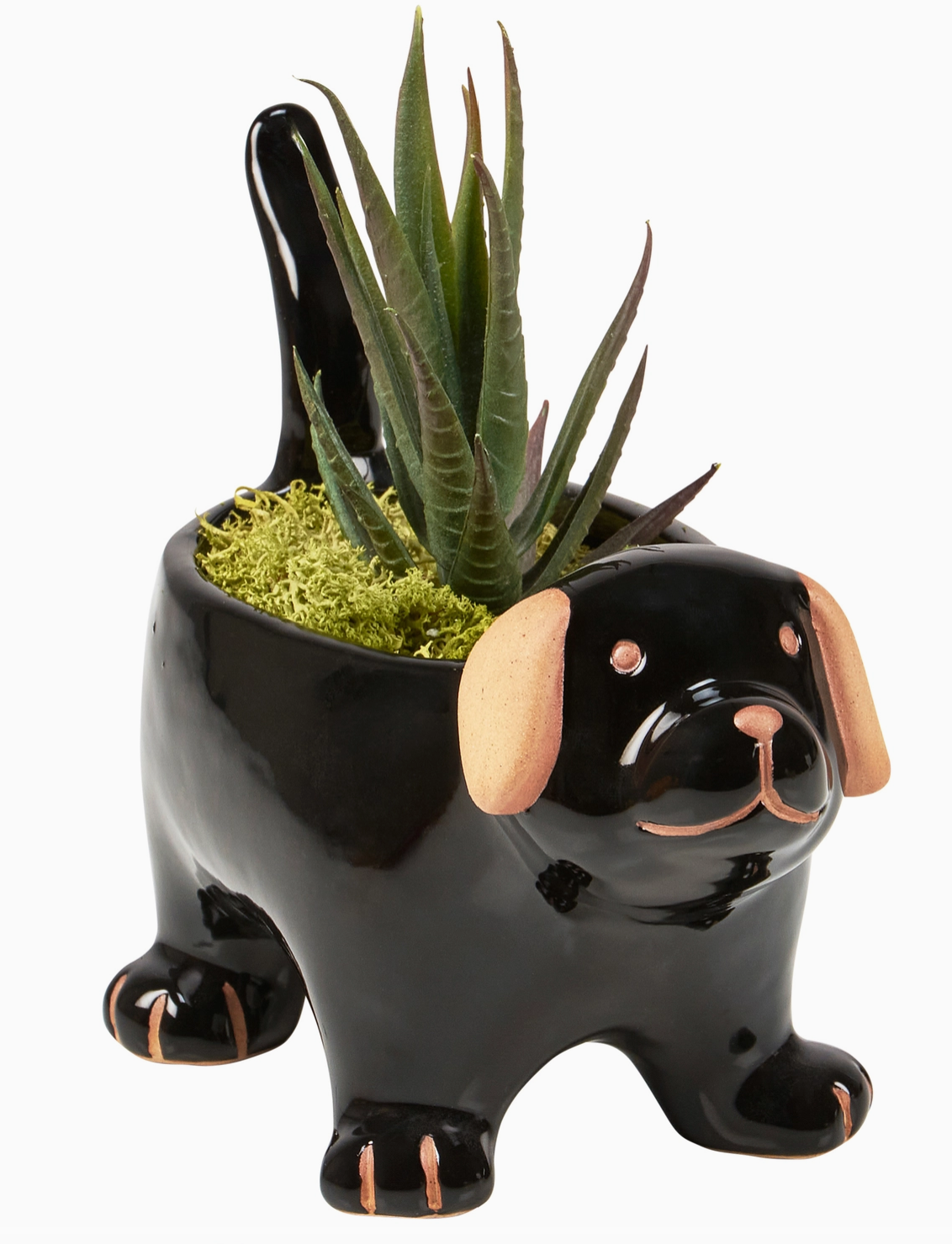 Black dog-shaped ceramic planter with a succulent plant.