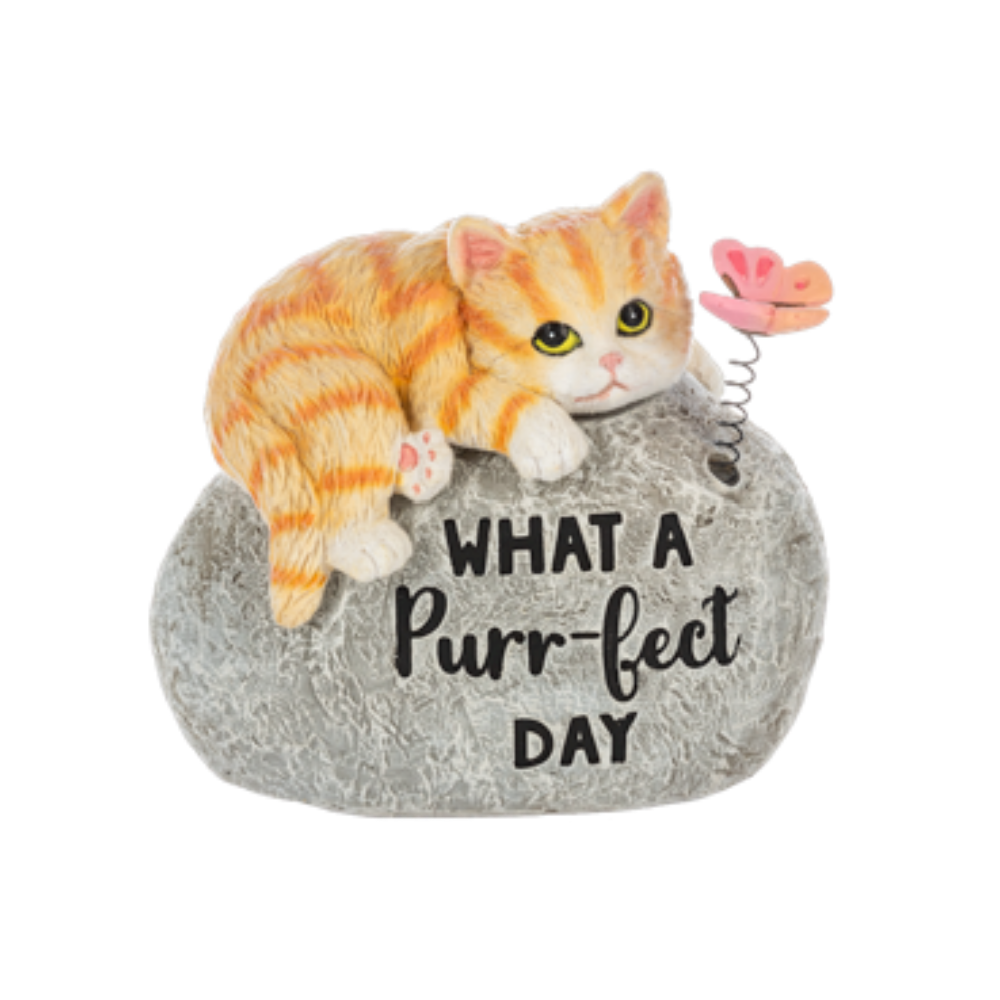 Kitties on Garden Stones
