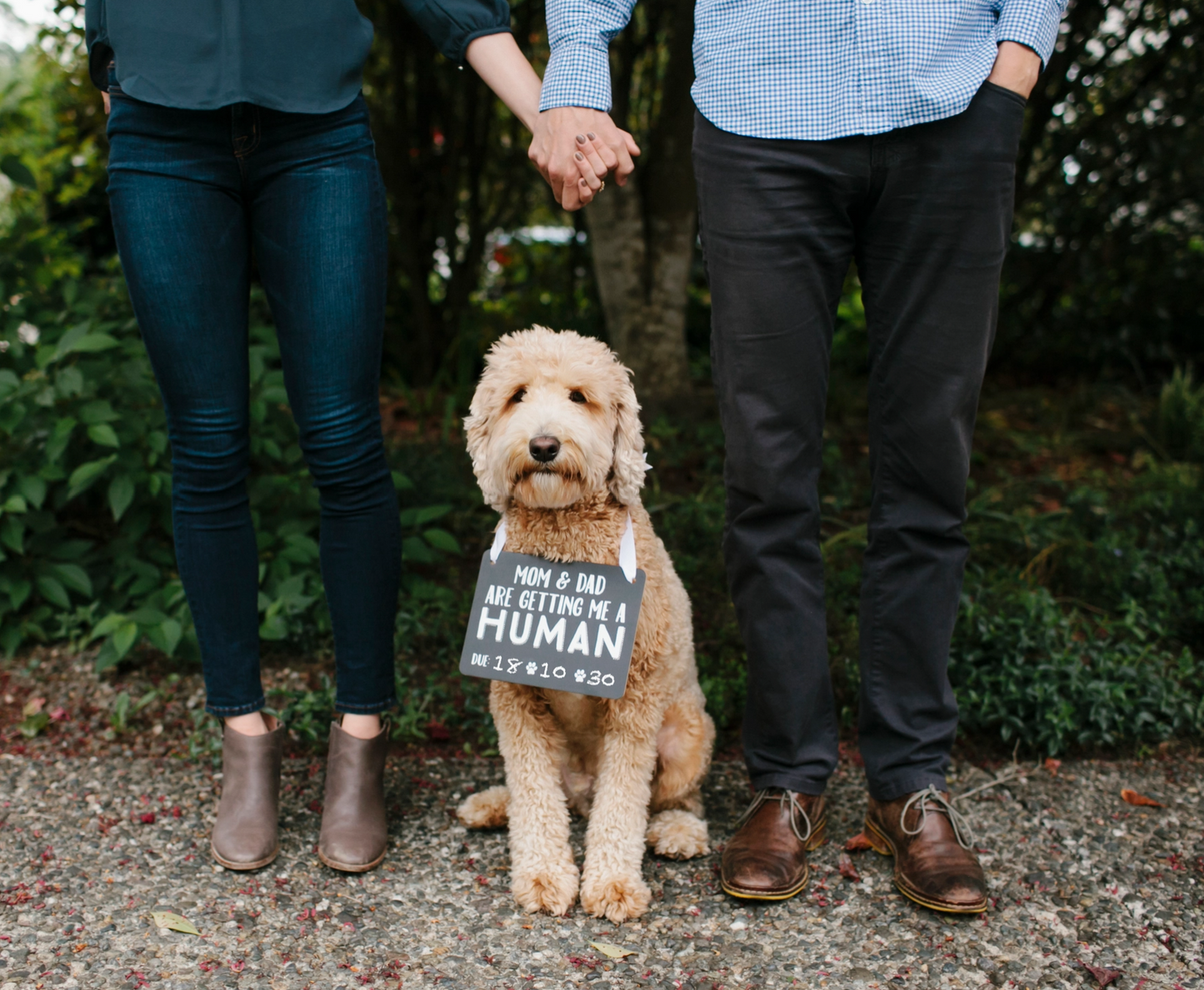 Baby Announcement