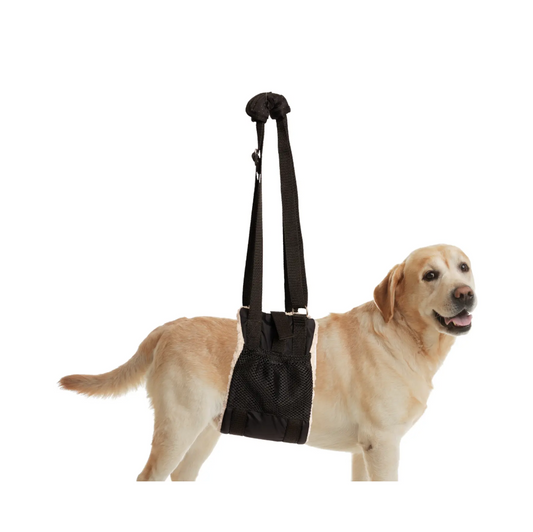 ZenPet Buddy Lift