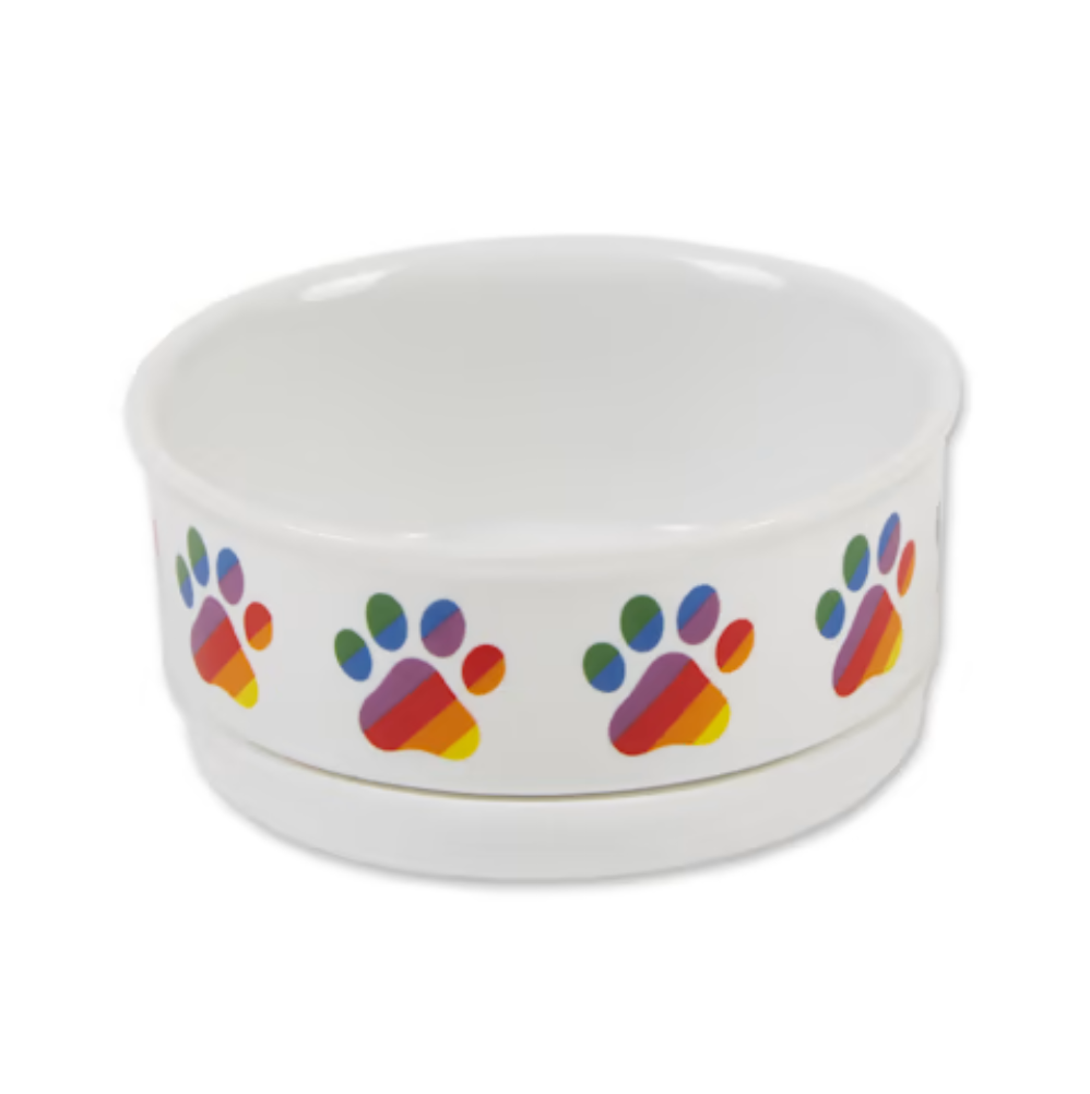 Rainbow Paw Bowl S - Disc.