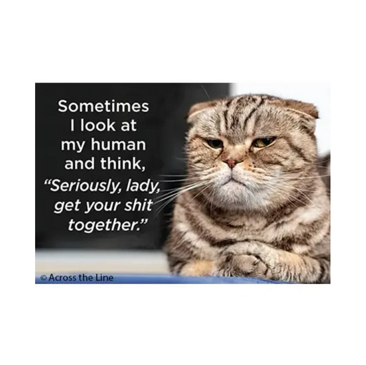 Sometime I Look at My Human Magnet