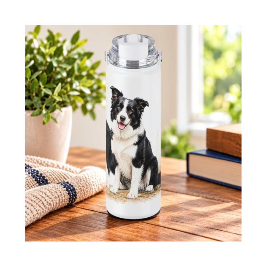E&S Border Collie 24oz Bottle
