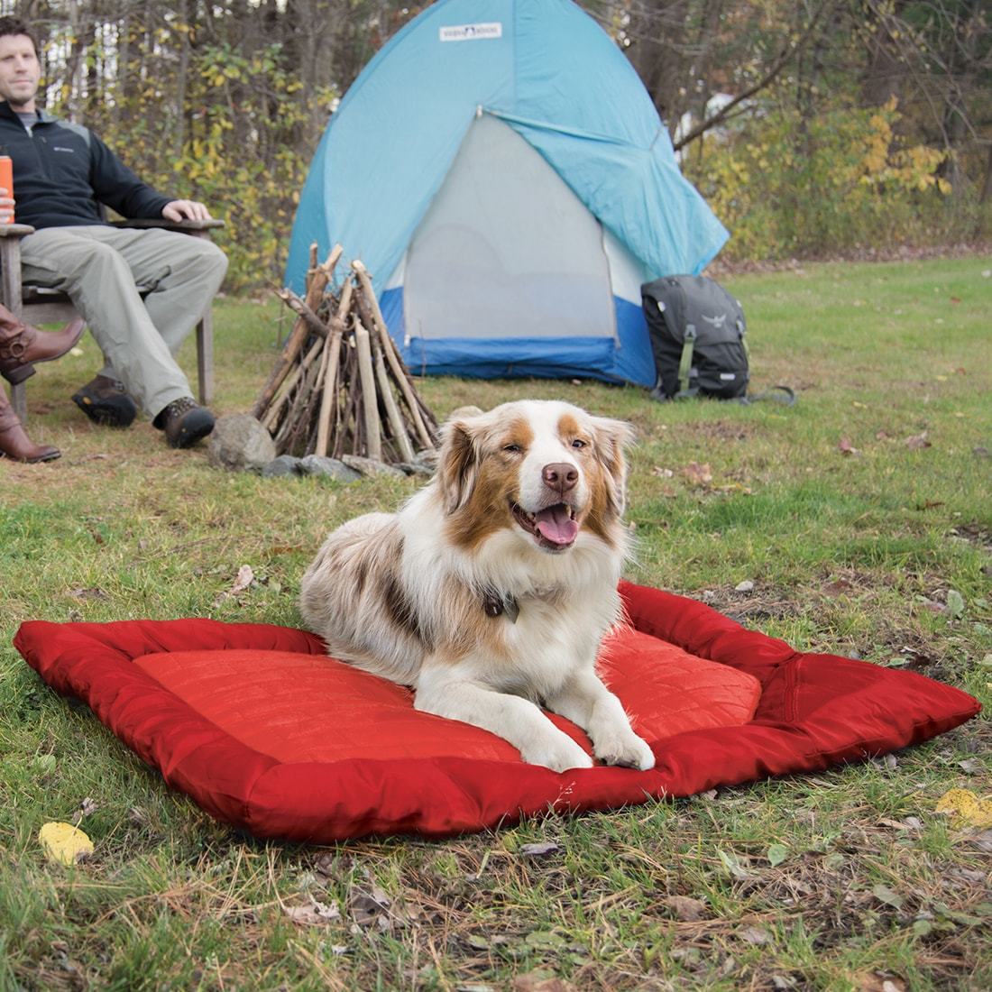 Kurgo Loft Wander Bed