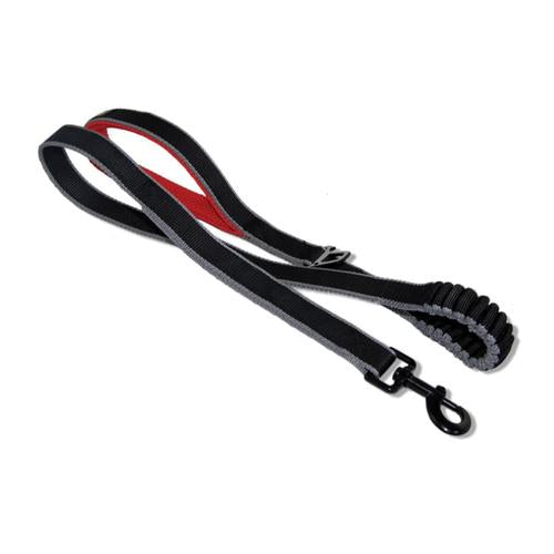 Kurgo Springback 48" Leash