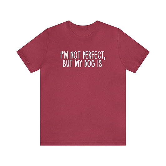 MN Nice "I'm not Perfect" T-Shirt - Heather Raspberry